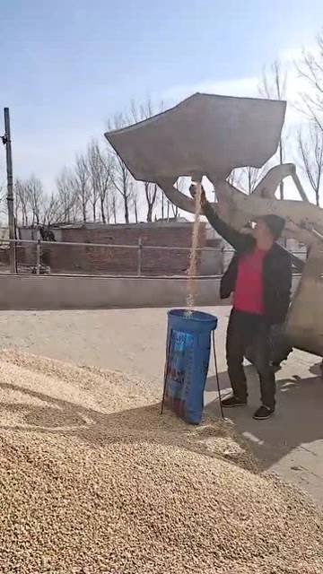 粮食专用铲车的优势与应用