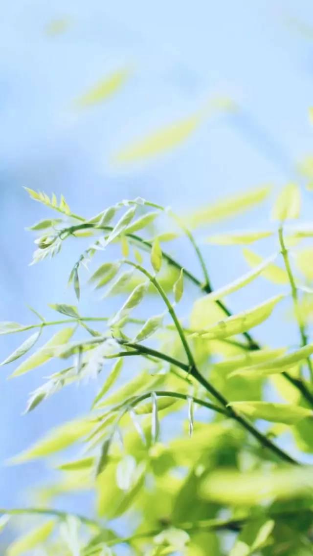 读书小诗歌大全，探索知识的海洋