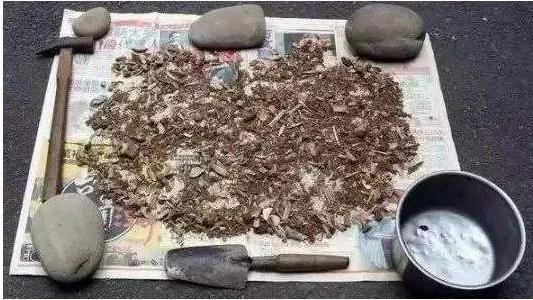 长寿花叶子边缘发红，美丽与健康的双重象征