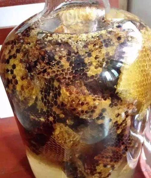 黄蜂巢泡酒最佳配方