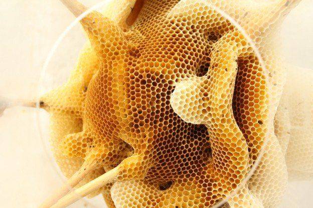 探索最佳方法，如何享用美味的蜂巢？