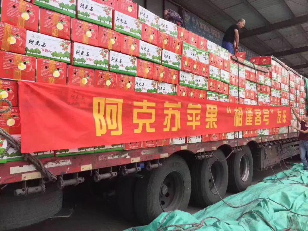 淘宝客图片代码，探索与使用指南