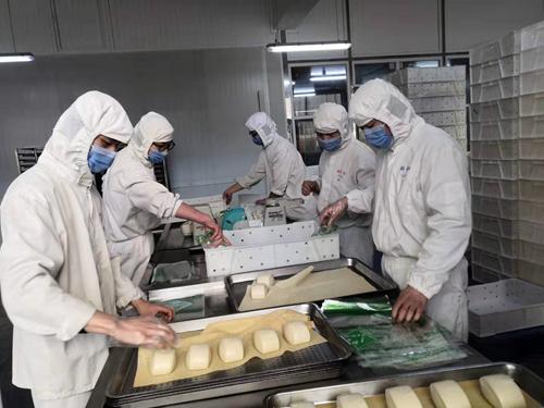 每日计划app，重塑个人效率与生产力