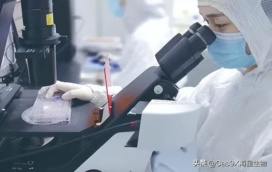 人事管理 第129页