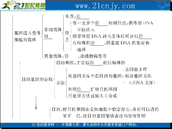 中药代谢，揭示古老智慧与现代科学的交融