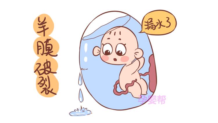 关于10ml血清移液管的深度解析与应用探讨
