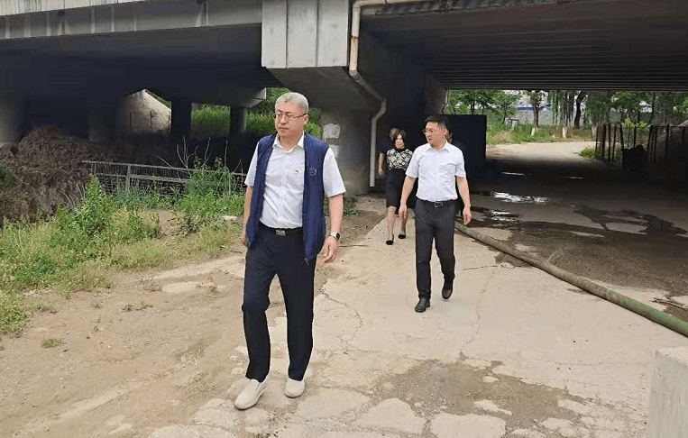 人墙执勤，守护安全与秩序的重要职责