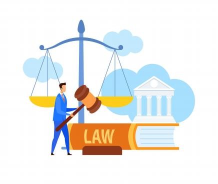 业务庭，解析其在法律领域中的角色与重要性