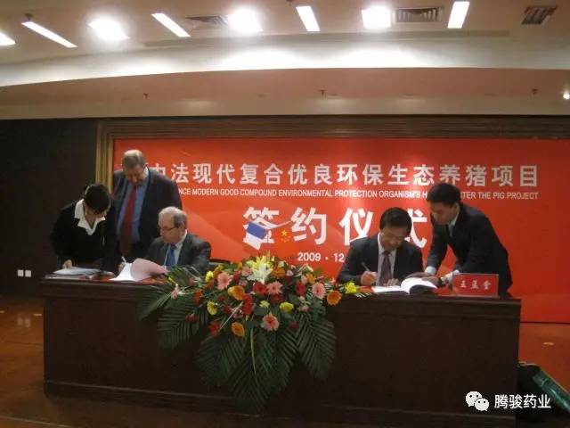 上高利丰牧业有限公司，探索现代畜牧业的新典范