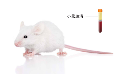 封闭用正常小鼠血清，研究与应用