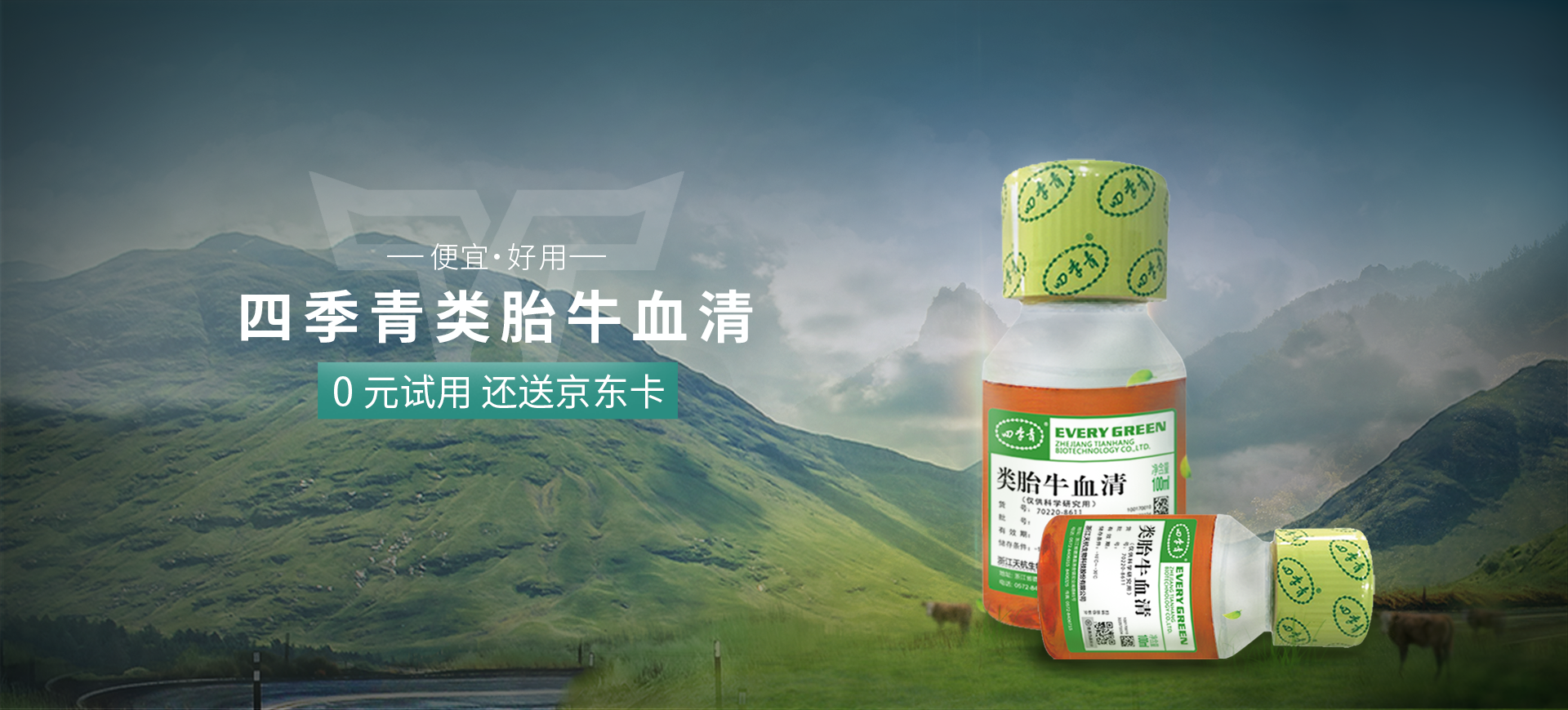 四季青与牛血清，自然的奥秘与探索