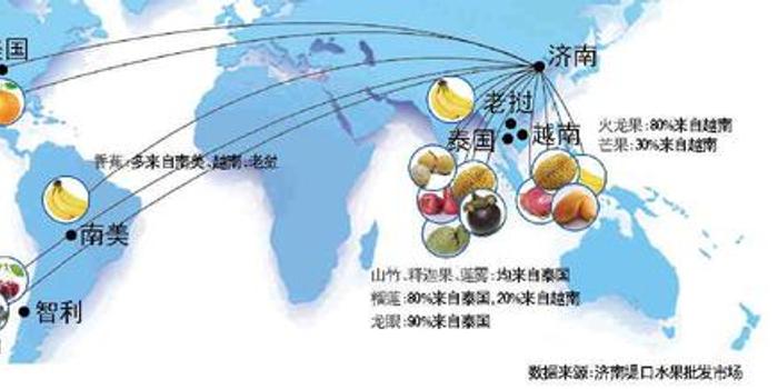 出境水果果园企业，打造全球化水果供应链的新典范