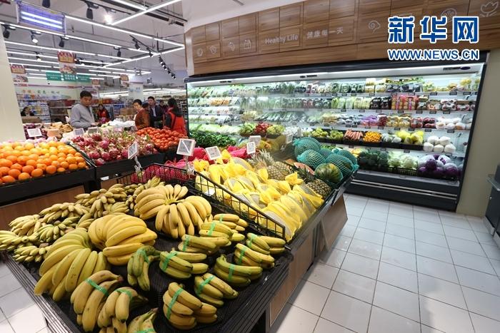 水果海关编码，了解与应对的关键要素