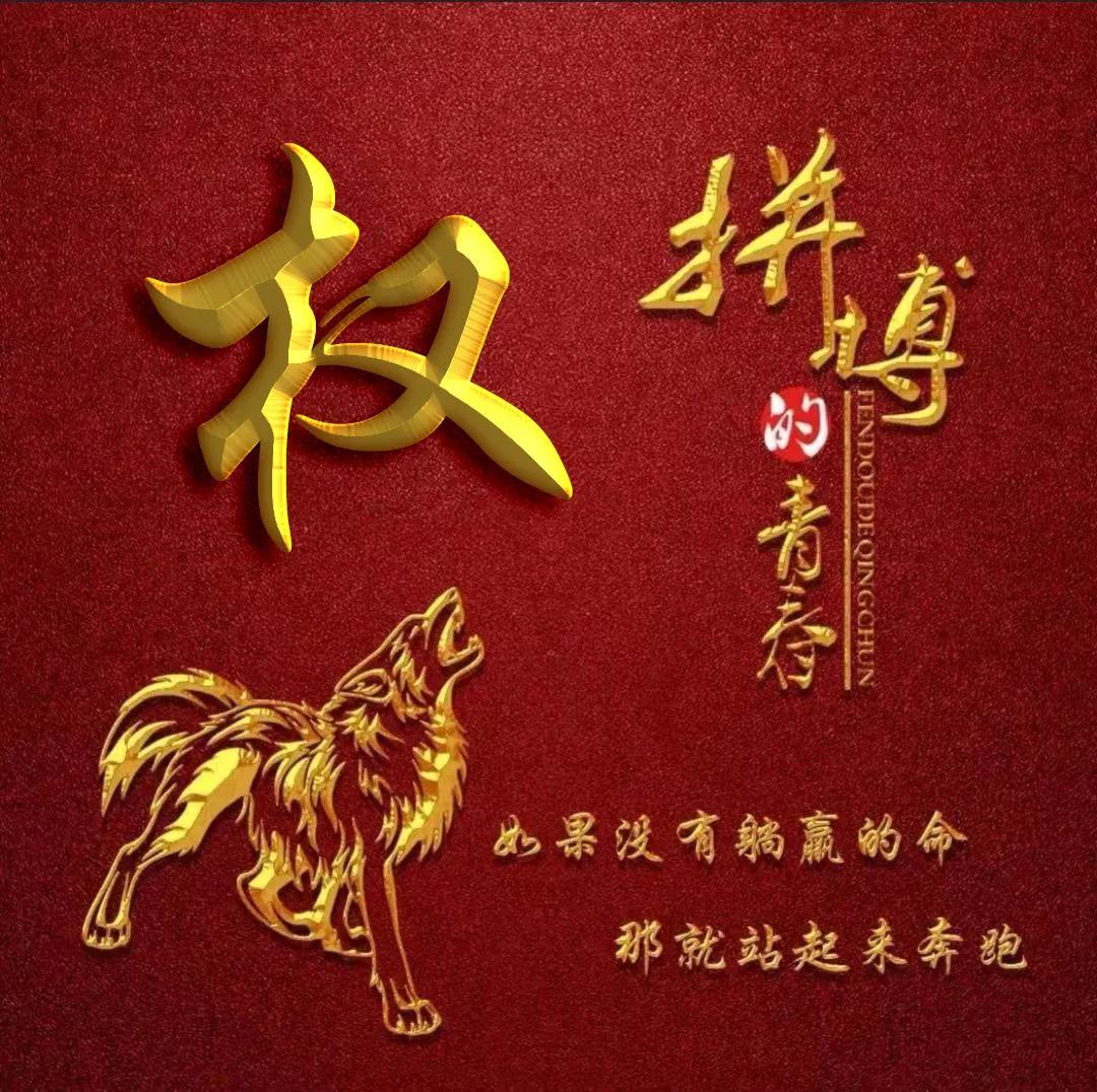 青春梦想字体各种写法