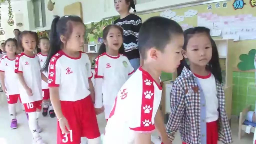 凤凰教学视频，探索优质教育资源的无限可能