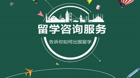 幽默教学视频，点亮学习之路的璀璨星辰