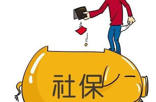 社保续保，保障连续性的重要性与操作指南