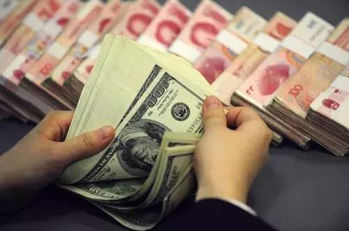 蚂蚁搬家，一种复杂而富有启示的社会性现象