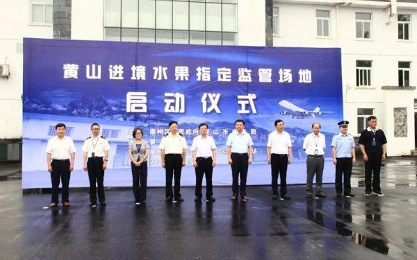 海关水果基地平面图的设计与运营解析