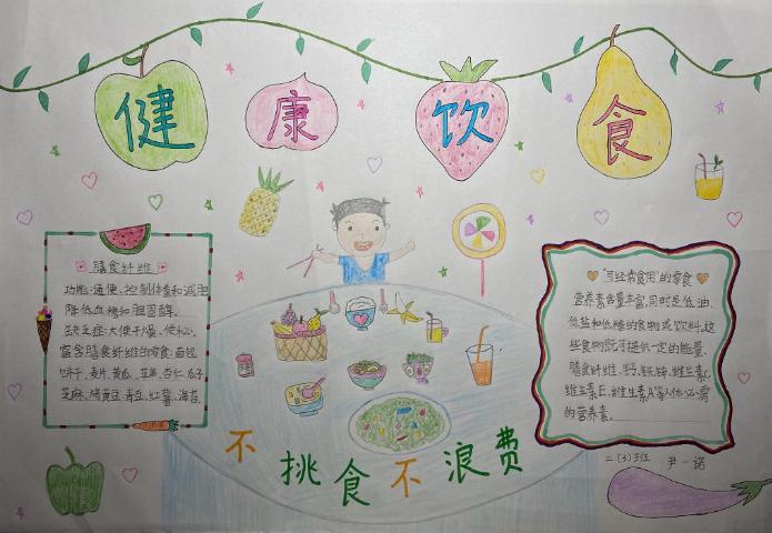 食品健康手抄报，引领健康饮食文化的明灯