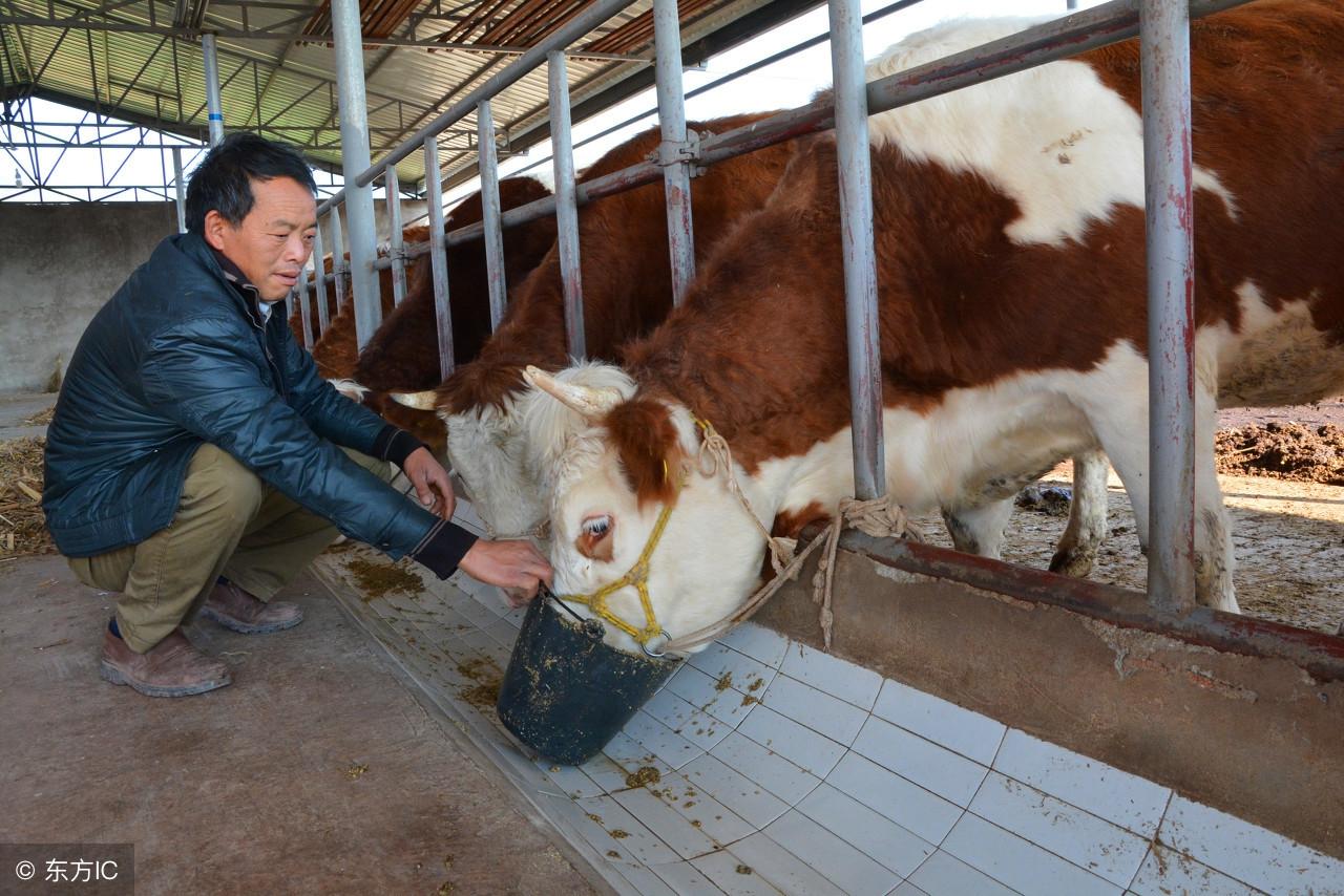 养殖设备的种类及其实际应用举例说明