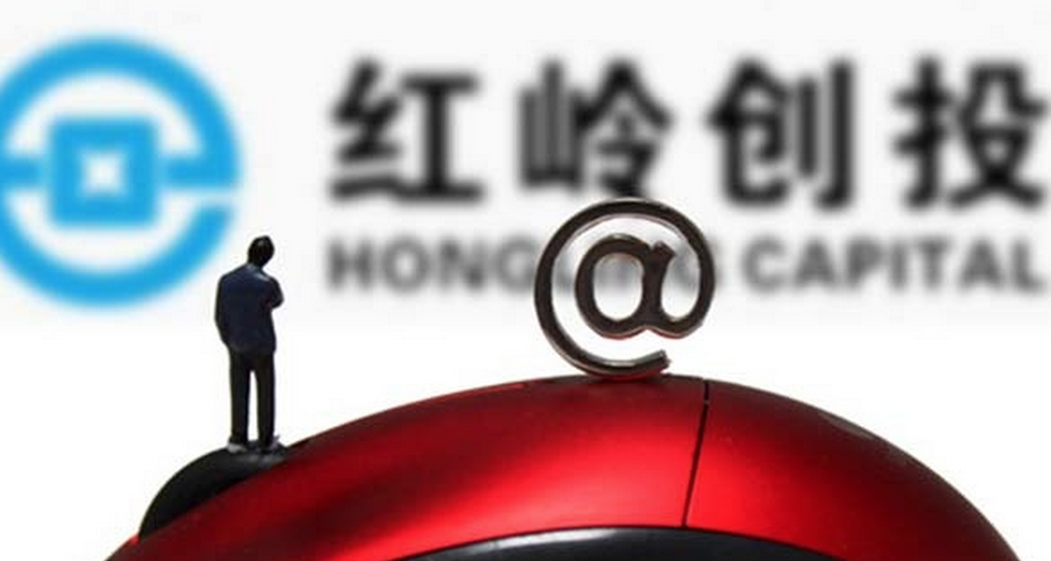 红岭创投，保障金的深度解读与应用