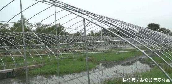 大棚小龙虾养殖电话，探索新型养殖模式的秘密
