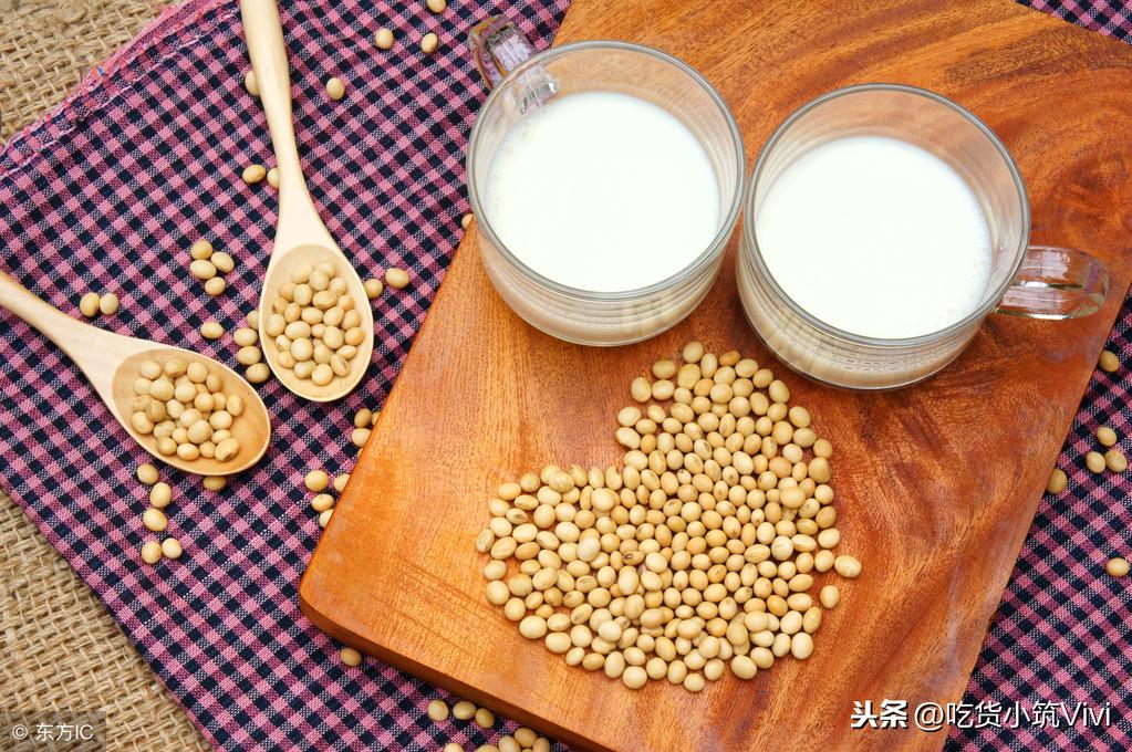 自制豆饮料，美味与健康并重的手工饮品