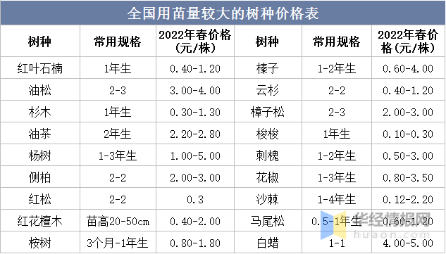 苗木价格与名贵品种，市场趋势深度解析