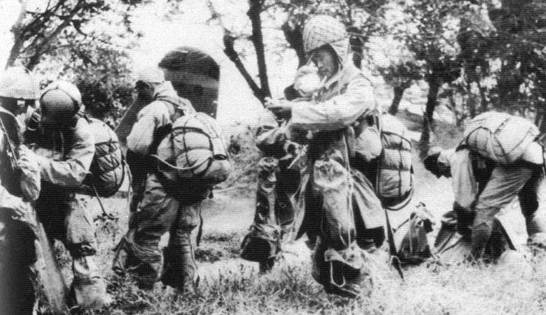 日本二战伞兵覆灭视频，揭示战争残酷真相的历史见证