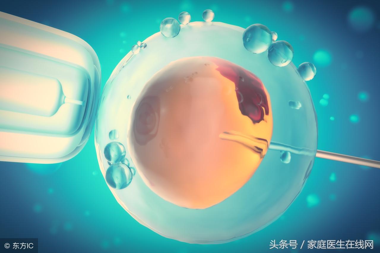 2025年5月29日 第5页
