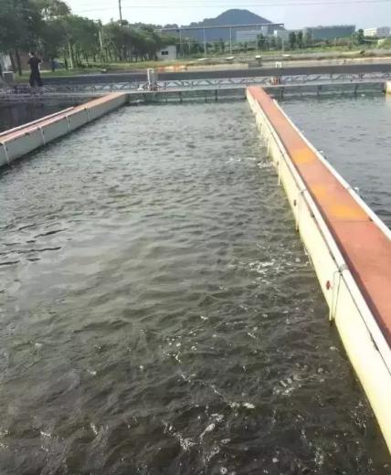 水温多高图标，探索水温测量与标识的重要性