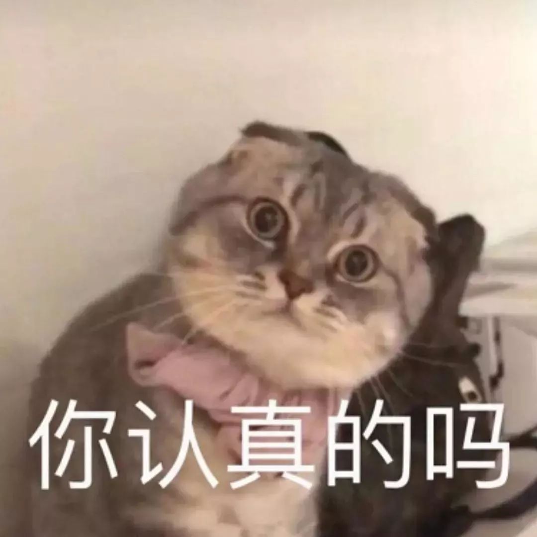 做事上点心，让表情包成为助力而非阻碍