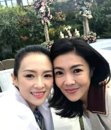 可再生文件，未来数字时代的绿色之选