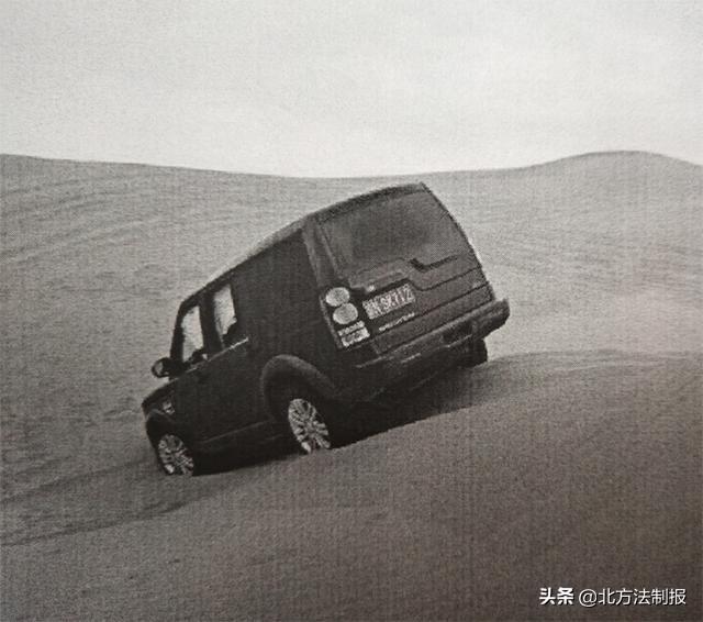 轮胎蝎子图标，一种独特设计的力量与魅力