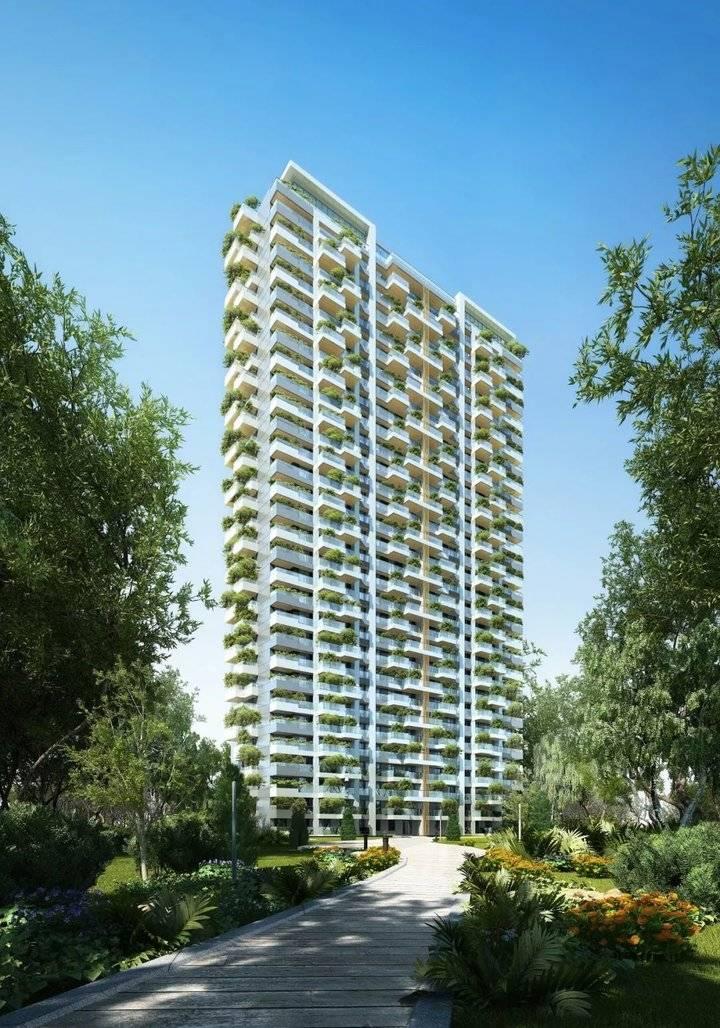 垂直绿化品种，塑造绿色城市的新篇章