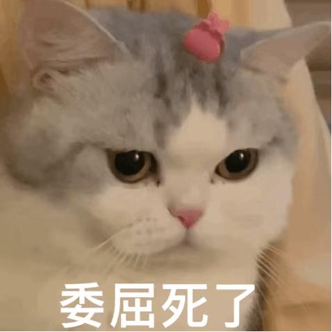 笨女孩表情包，网络时代的情感表达新风尚