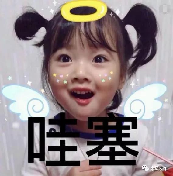 蛆娘表情包，网络文化的新宠