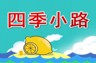 大班美术教案，狮子