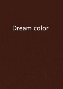DreamColor美瞳真假解析与购买指南