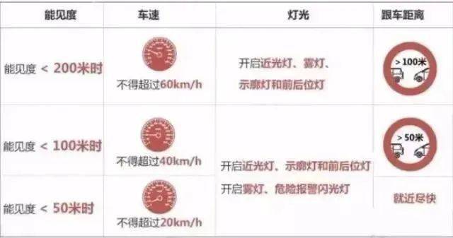 驾照灯泡图标，解析其含义与重要性