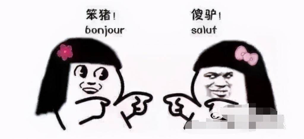 北方酱与表情包，庸俗化的现象探究